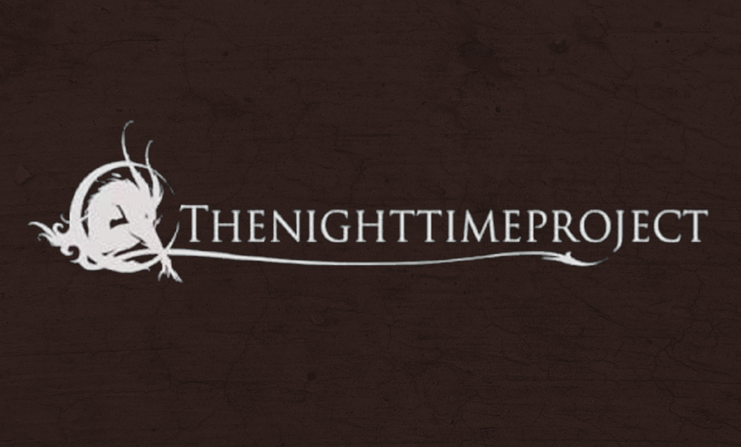 Thenighttimeproject logo